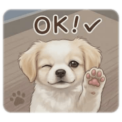 onegi_20260506084350