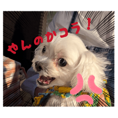 stamp_20260506083802