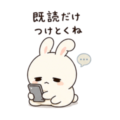 mash_20260506083840