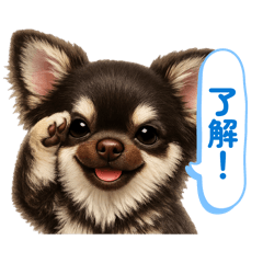 hirohiroponpon_20260506084114