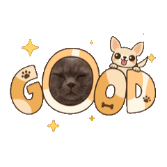 NEKOMA_20260508134857