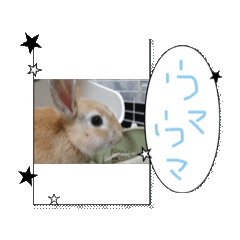 utako_20260508120144