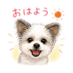 Tiitan_20260506090137