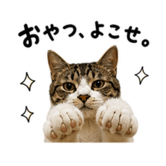 chikuwa_20260506090711