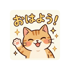Catss cats cats