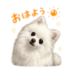 ttyifgh_20260506090017