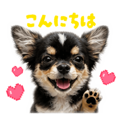 nappy_20260506090008