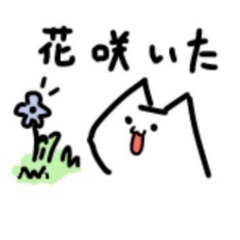 Saki_20260505213943