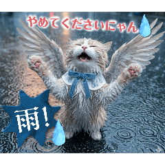 rei_20260506090452