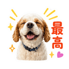 hikoko._20260506090940
