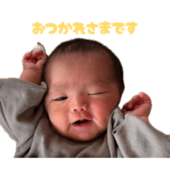 oom_20260506091941
