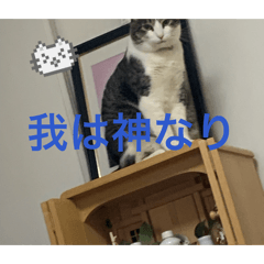 RION_20260506100159