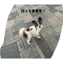 Ryo-ma_20260506100515