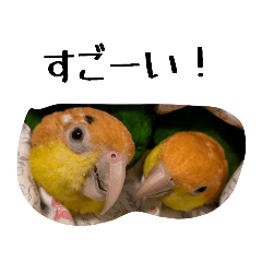 komuremo_20260506100433