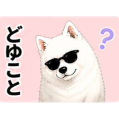 Samoedosenpai2