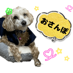 ako_20260506101254