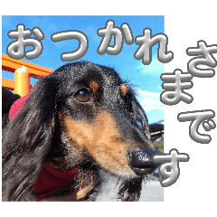 tatumi_20260506101120