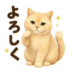 obi_20260506225746