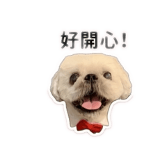寵物stickers