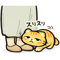 The Daily Life of a Lazy Ginger Cat