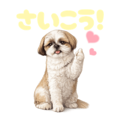 DOG STAMP ORDER_20260508143358