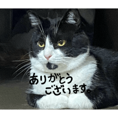 Umehashu_20260507235929