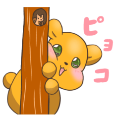 Kumanomorinokuma