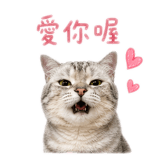 菲菲&露比3