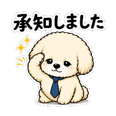 wacchi_20260506083648