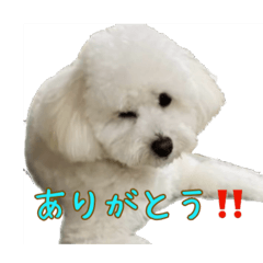 oinari_20260506084001