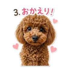 いつものちょこの日常
