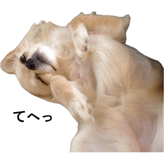 y_20260506091819