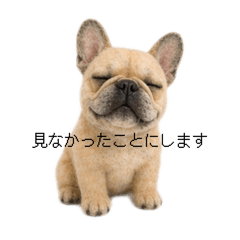 KICHI_20260506090019