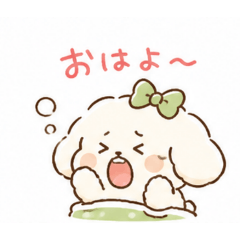 koko_20260506083400