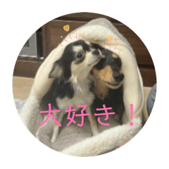 latte store_20260506101016