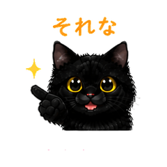 Cute Black Cat Expressions