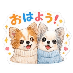 MAO_20260506100008