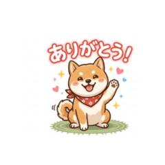 Shiba Inu in Red Bandana:Daily Life