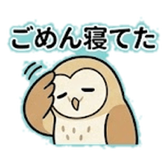 Drowsy Barn Owl: Zero Motivation