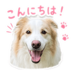 Chataro_20260501001108