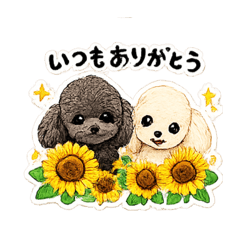 yachu_20260506102057