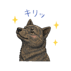 Sayo - Daily Chat Stickers 2