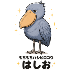 Mochi-mochi Shoebill "Hashio"