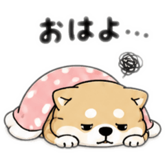CHAnSU_20260506102122