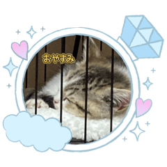 Mayu.yuyuyu_20260506102630