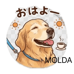 shimako_20260506102857