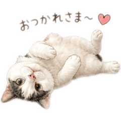 Ryu_20260506102759