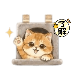 MOFU_20260506102638