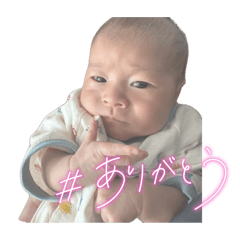 Isono_20260506103051