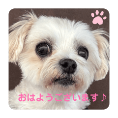 meryl_20260506